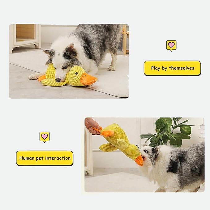 Plush Dog Toy
