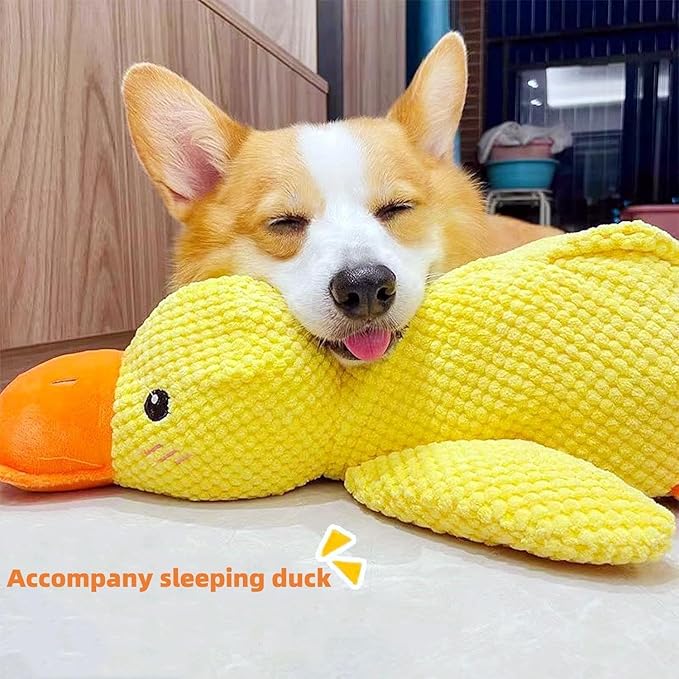 Plush Dog Toy