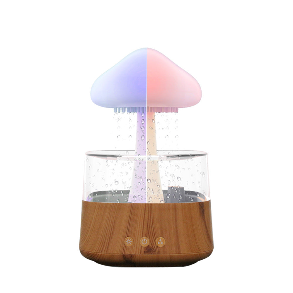 Rain Cloud Humidifier