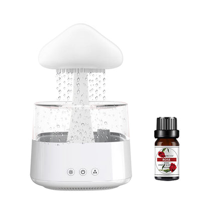 Rain Cloud Humidifier